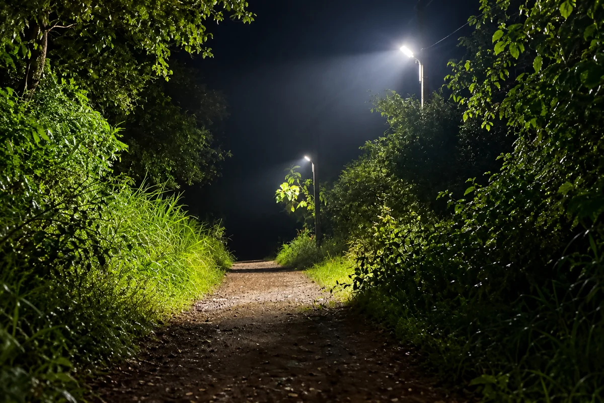 LH2 road lighting, adapted from the UDSF campaign poster